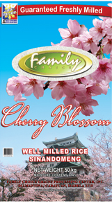Cherry Blossom