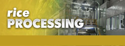 Rice Processing